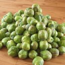 문숙농장 이미지