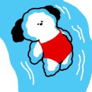 실론 스파이스 이미지