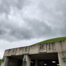 [경주 하루 여행 코스 추천] 걷기 좋은 경주 도보 여행, 천마총부터 월정교까지 (신라 감성 경주 여행행...