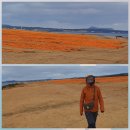 신흥목장 이미지