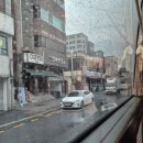대전 대덕 워케이션 후기 3탄 _ 마음 보양, 음식 보양으로 마무리!