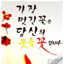 사랑초《당신을 끝까지 지켜줄께요!》 이미지