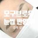 [경북 / 상주] 상주 눈썹 반영구 오구브로우 1주일후 후기포함