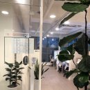 풍림마스타세탁 | [월곶동 스터디카페]뚝심스터디카페 다니는중!