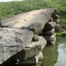 동읍590 | 주남저수지 주남돌다리 새다리 800년의 자연석