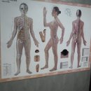 양천안마지압원 이미지