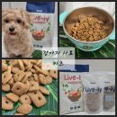 이지가축인공수정소 | 강아지 사료 추천 기능성 좋은 키츠 말티푸 사료양 계산