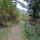 도계 바람개비 화장실 | 낙동정맥(매봉산~통리역)