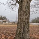 둔내초 영호분교장 이미지