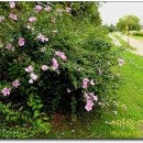 세기헬스마트 이미지