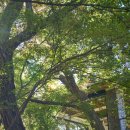 뷰가 | 북한산 우이동카페거리 나들이 뷰가 멋졌던 옥류헌 릴렉스 후기