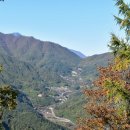 주홍민박 이미지