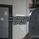 하동이네야채과일