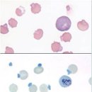 석수동물병원 이미지