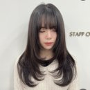 이런기장 C컬펌 커트 비용 얼마나 들까요? 이미지