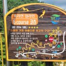 속리산 테마파크 집라인 후기. 속리산 산채비빔밥 거리 배영숙산야초밥상