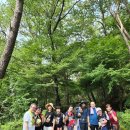 트래블뱅크(주) 이미지