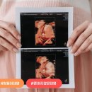 별에서 온 뿌꾸 이미지