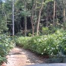 숲길농원 이미지