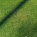 푸른어린이공원 이미지