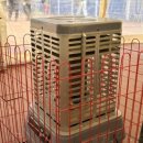 좌구산 썰매장 이미지