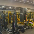 오늘의 피티(PT) 이미지