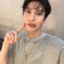 레오랜드 이미지