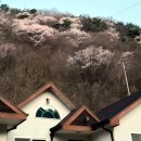 문경사계민박 네이버블로그