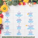 베지스토리