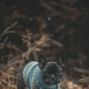 아이펫 동물병원 이미지