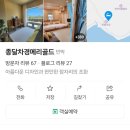 종달차경(메리골드) 이미지