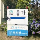 올가리조트 | 애견동반가능한 통영 올가리조트 방문 후기(오션뷰, 가성비)