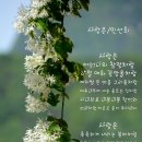 중간지점