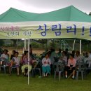 보안중학교 Daum카페