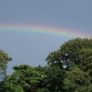 산골무지개 이미지