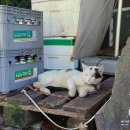 솔빛농장 | 2021년 9월 1박2일 제주여행 2 : 서귀포 자구리 공원 야경 산책 / 황우지 선녀탕 / 카페 솔빛바다