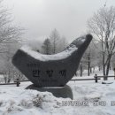♣2015년 1월(제95차)강원도 태백 함백산(1,572.3m) 눈꽃산행 ** 이미지