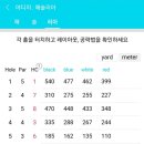 대한스포렉스 외 이미지