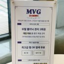 헤어MVG 이미지