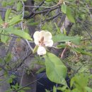 승준농장 이미지