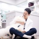 한국동물혈액은행 동물병원 | 연수구동물병원, 노령견 진료는 사전 검진이 중요합니다.