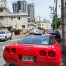 클럽 몬스터 (Club Monster) 이미지