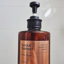 수지침 | 요즘 쓰는 샴푸 3종 후기 (러쉬 대디오, 고려수지침 금경샴푸, 려 서울선셋)