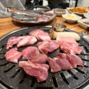 낭기뒷고기수영
