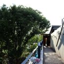 토담다방 이미지