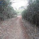 어등산주유소 이미지