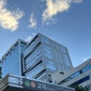 [교대-교정] 강남 카이로프래틱 교정/마사지 ,척추 밸런스 요법