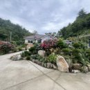 아늑한산골짜기 이미지