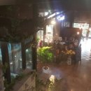 더플라워넝쿨