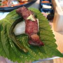 신어류기 이미지